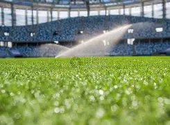 漫画描绘,指引中国进,步的积极力,足彩,体彩,彩票,体育彩票,足球彩票,彩票合买,开云彩票